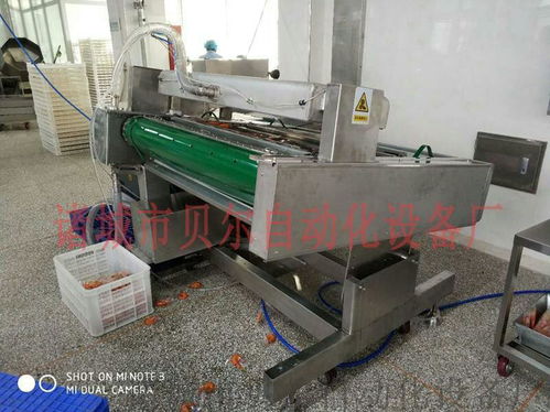 山東貝爾品牌休閑食品真空包裝機(jī)械，廠家直銷引領(lǐng)品質(zhì)潮流